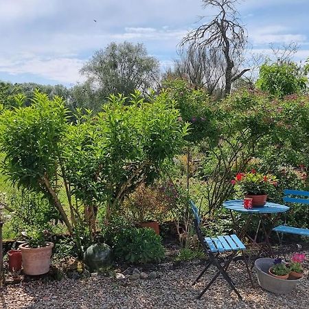 Les Noyers Monestois Entre Cher Et Canal De Berry Mennetou-sur-Cher Exterior foto